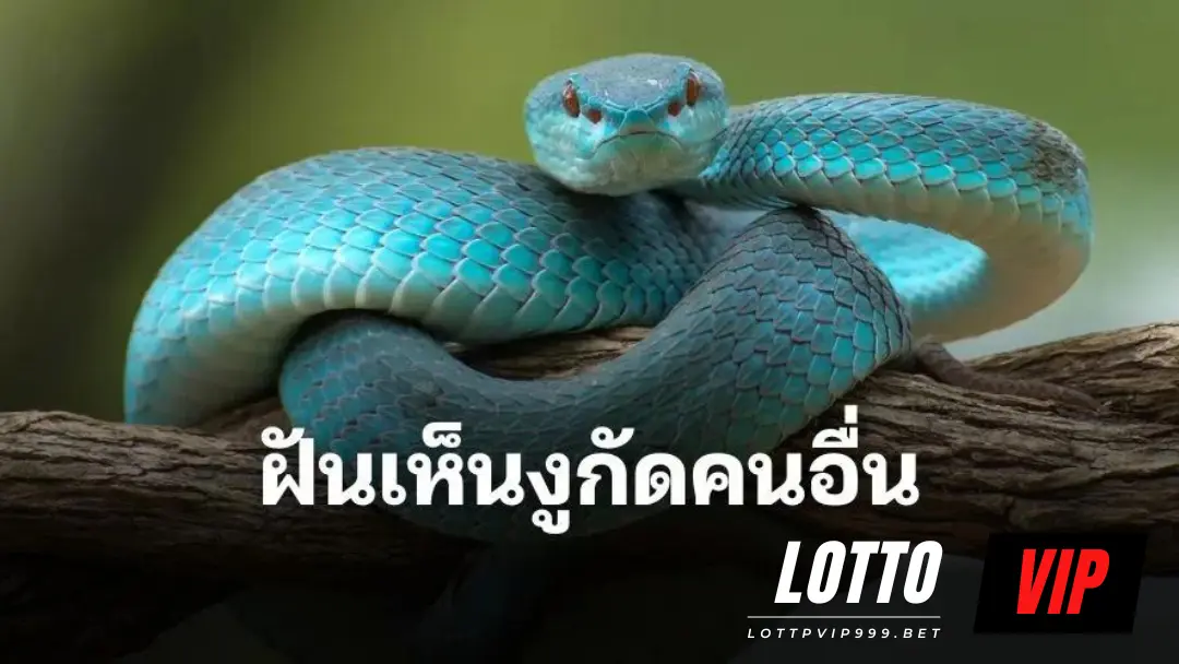 ฝันเห็นงูกัดคนอื่น